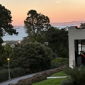 Room for rent in Presidio Heights #1