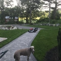 Room for rent in Worcester #3