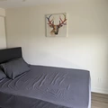 Room for rent in Alta Vista #4