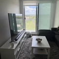 Room for rent in Alta Vista #1