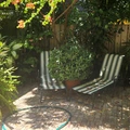 Room for rent in Palm Beach Gardens #5
