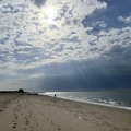 Room for rent in Brighton Beach #6