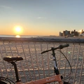 Room for rent in Brighton Beach #7