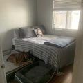 Room for rent in Chandler #1