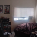Room for rent in Hollywood #3