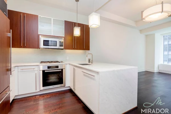 1 bedroom apartment for rent in FiDi - Manhattan, New York