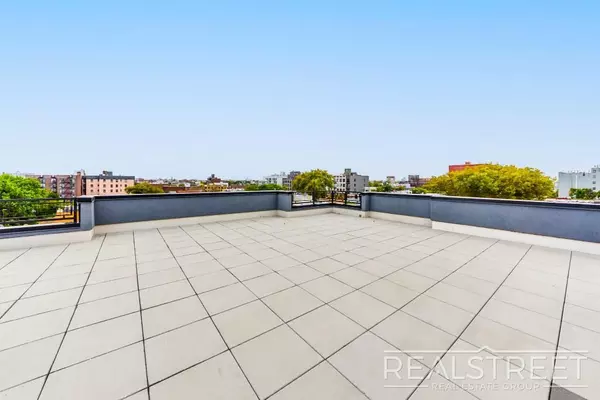 1 bedroom apartment for rent in Flatbush Ditmas Park - Brooklyn, New York