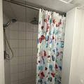 Room for rent in Corso Italia-Davenport #3