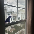 Room for rent in The Rockaways #4