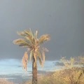 Room for rent in Laveen #1