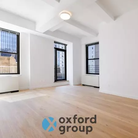 1 bedroom apartment for rent in FiDi - Manhattan, New York