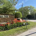 Room for rent in High Park-Swansea #9