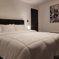 Room for rent in Cliffside Park #1