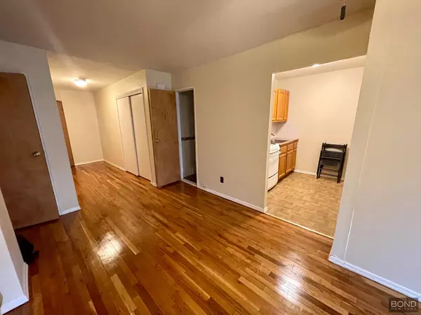 1 bedroom apartment for rent in LIC - Queens, New York