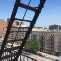 Room for rent in Harlem #5