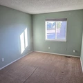 Room for rent in Centennial #8