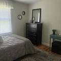 Room for rent in North Shore #2