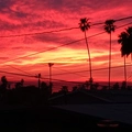 Room for rent in Ocean Beach #3