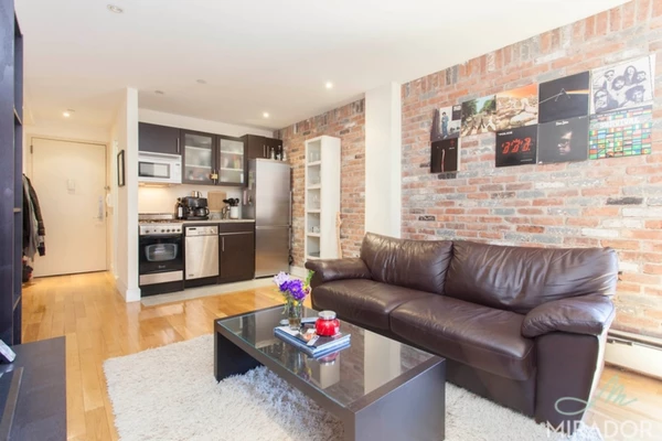 1 bedroom apartment for rent in East Village - Manhattan, New York
