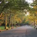 Coliving in Midtown West - Manhattan, New York