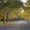 Coliving in Midtown West - Manhattan, New York