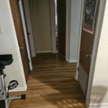Room for rent in Winter Park #4
