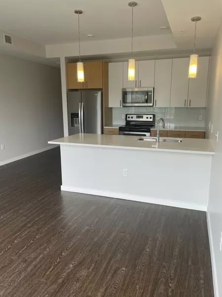 1 bedroom apartment for rent in Auraria - Center Denver, Denver