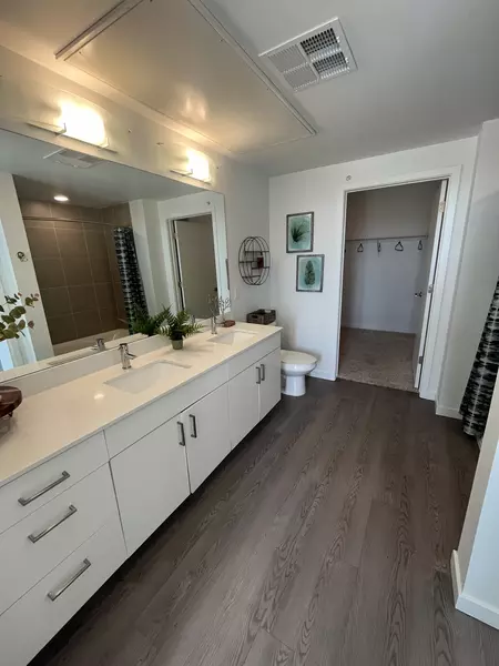 1 bedroom apartment for rent in University Hills - South Denver, Denver