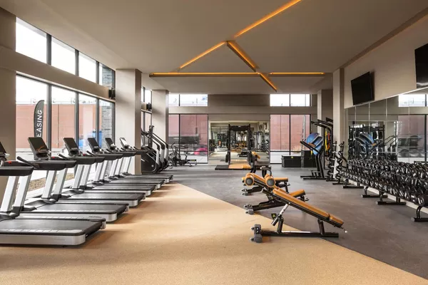 1 bedroom apartment for rent in RiNo - North Denver, Denver