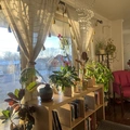 Room for rent in Inglewood Nashville #9