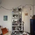 Room for rent in Bushwick #5
