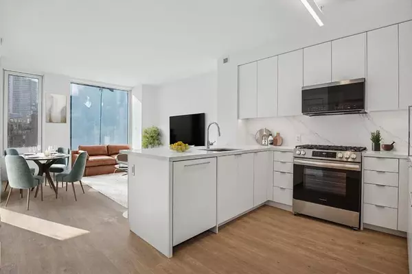 1 bedroom apartment for rent in LIC - Queens, New York