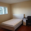 Room for rent in New Westminster #1