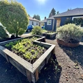 Room for rent in Cully #14
