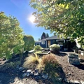 Room for rent in Cully #16
