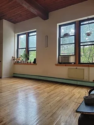 1 bedroom apartment for rent in Prospect Heights - Brooklyn, New York