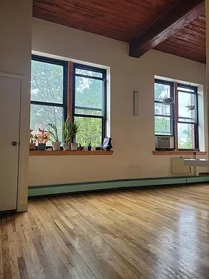 1 bedroom apartment for rent in Prospect Heights - Brooklyn, New York