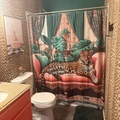 Room for rent in Naperville #9