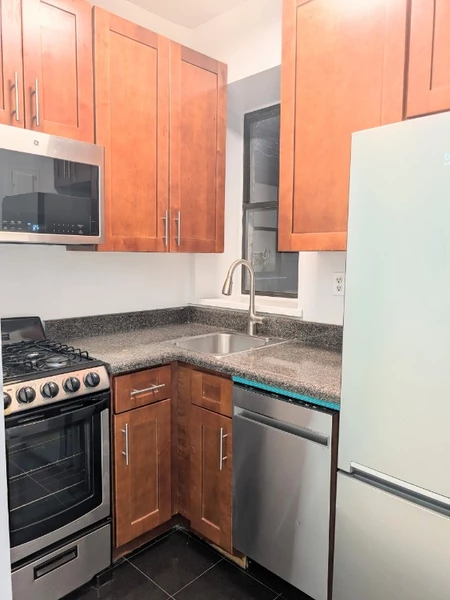 1 bedroom apartment for rent in East Village - Manhattan, New York