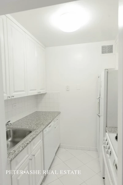 1 bedroom apartment for rent in Upper East Side - Manhattan, New York
