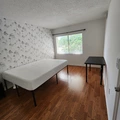 Room for rent in Clearwater #4