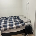 Room for rent in Brentwood #7