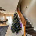 Room for rent in South Mountain #7