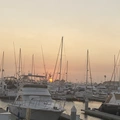 Room for rent in Oxnard #8