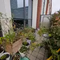Room for rent in Regent Park #4