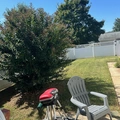 Room for rent in Cornelius #5