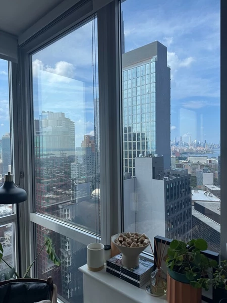 1 bedroom apartment for rent in Downtown Brooklyn - Brooklyn, New York
