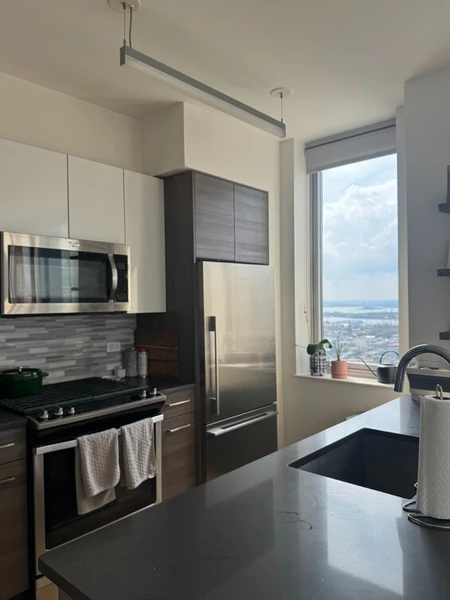 1 bedroom apartment for rent in Downtown Brooklyn - Brooklyn, New York
