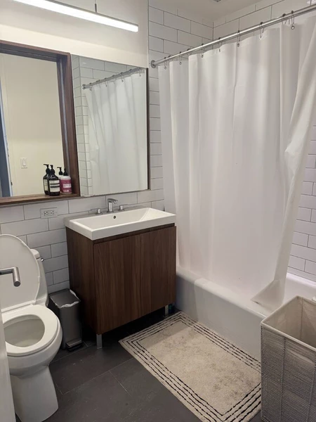 1 bedroom apartment for rent in Downtown Brooklyn - Brooklyn, New York
