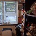 Room for rent in Gresham #6